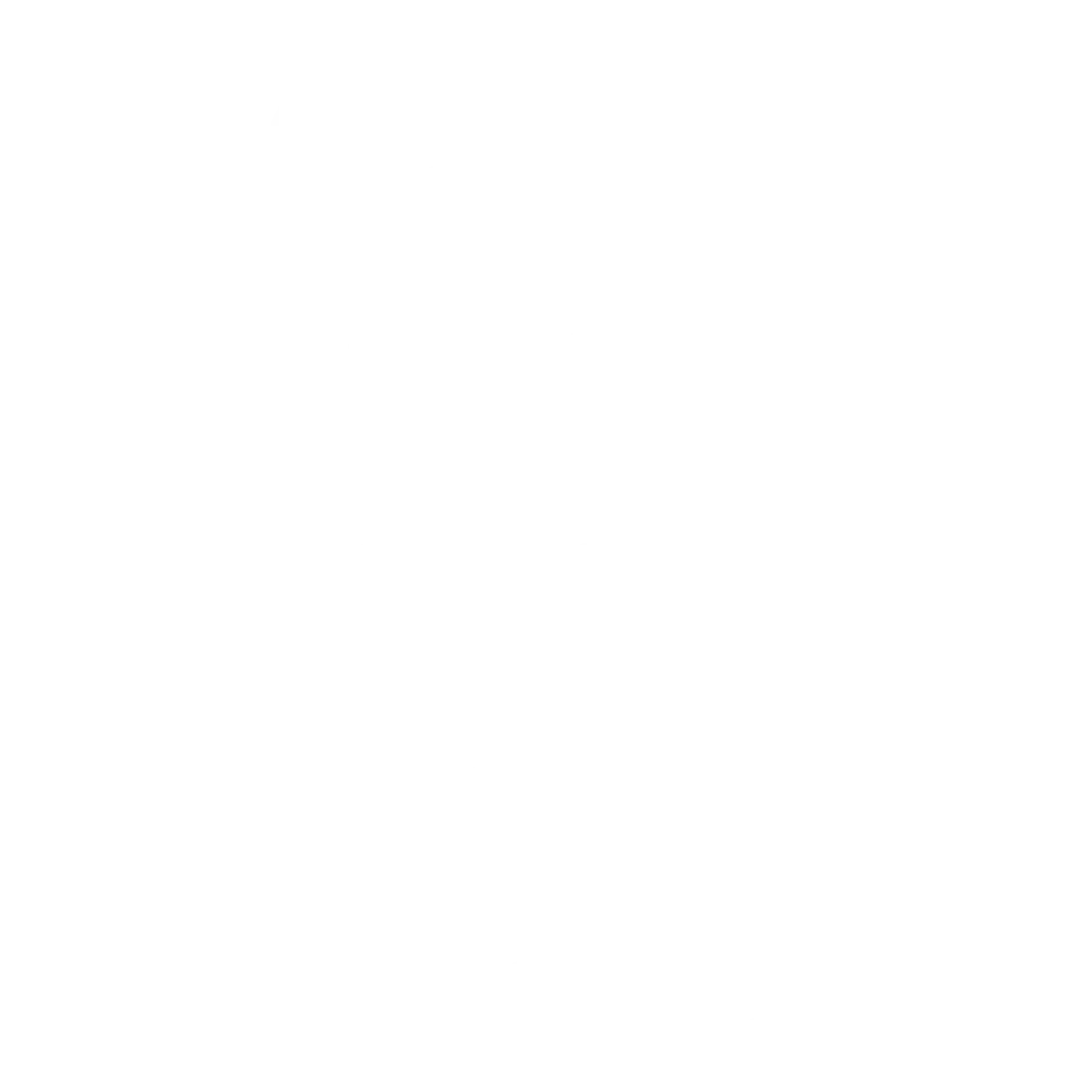 App-based field audits